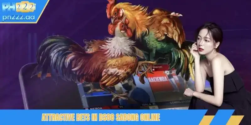 Attractive bets in DS88 Sabong online